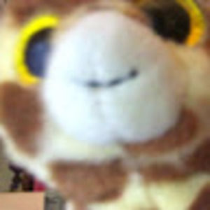 Meet your Posher, Sean